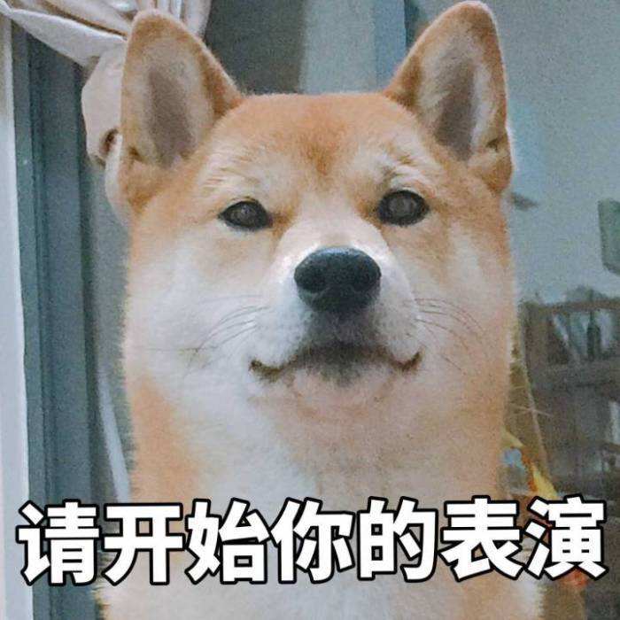 1656654579660559.jpeg