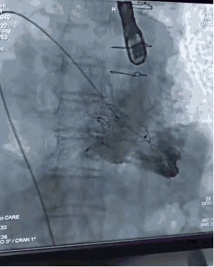 1656668440912238.gif 微信图片_20220701173736.gif